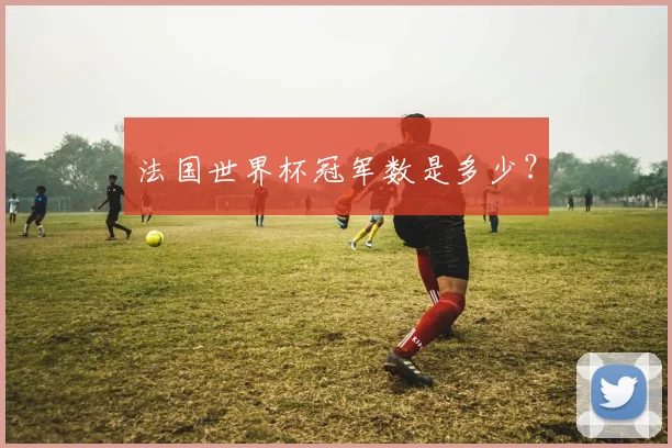 法国世界杯冠军数是多少?