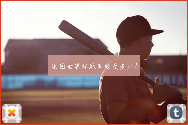 法国世界杯冠军数是多少?