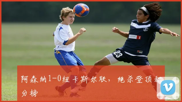 阿森纳1-0纽卡斯尔联,绝杀登顶积分榜