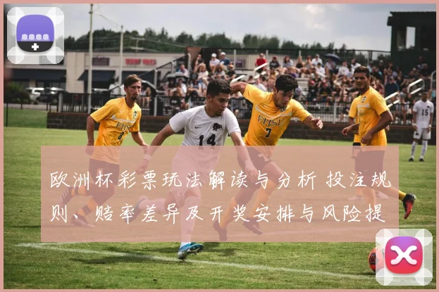 欧洲杯彩票玩法解读与分析 投注规则、赔率差异及开奖安排与风险提示