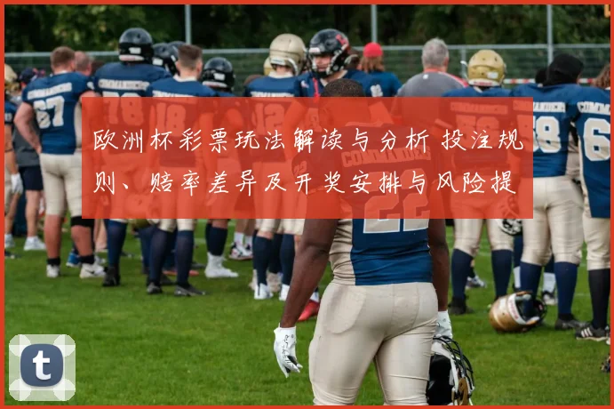 欧洲杯彩票玩法解读与分析 投注规则、赔率差异及开奖安排与风险提示